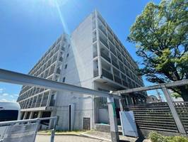 大阪府泉大津市池浦町1丁目(マンション)の賃貸物件342の外観