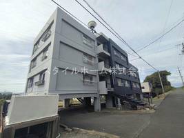 高洲ハイツ201の外観