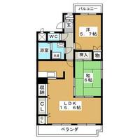 パラシオン2559の間取り