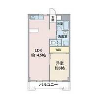 アメニティー大善の間取り
