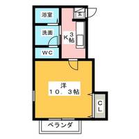 ティアナ愛M Ⅱの間取り