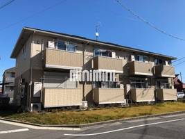 クリプトメリアの外観