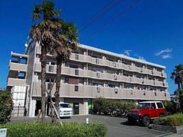 福岡県大野城市仲畑1丁目(マンション)の賃貸物件の外観