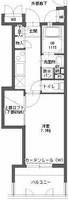 福岡県福岡市博多区博多駅前3丁目(マンション)の賃貸物件の間取り