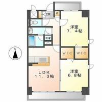 モラリエ金山(MORALIA金山の間取り