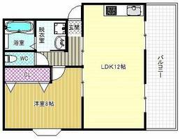 メゾン野々上の間取り