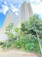 大阪府大阪市福島区吉野4丁目(マンション)の賃貸物件の外観