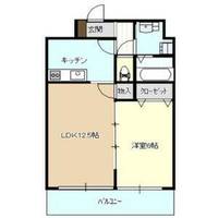 Ceres志賀本通1302の間取り