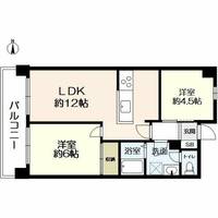 メイゾン桂東603の間取り
