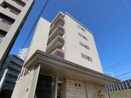 ルオ マルーンの外観