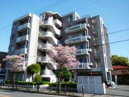 兵庫県尼崎市田能4丁目(マンション)の賃貸物件の外観