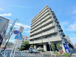 愛知県名古屋市南区柴田本通5丁目(マンション)の賃貸物件203の外観