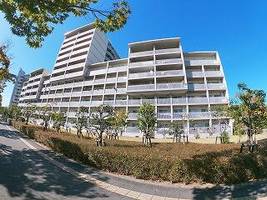 兵庫県芦屋市陽光町(マンション)の賃貸物件の外観