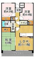 物件の間取り画像