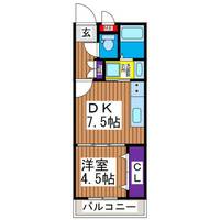 スカイ 31の間取り