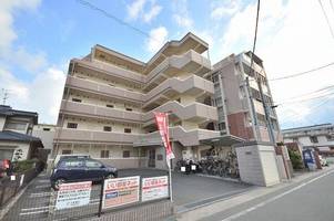 エバー グリーンの外観