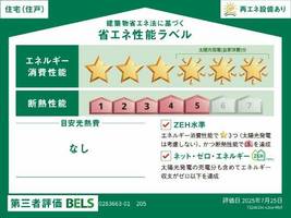 バイオレットのその他画像