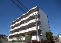 ハイグレードカワサキ203の外観