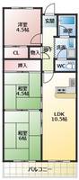 物件の間取り画像