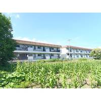 市村コーポ第一202の外観