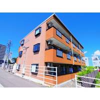 Domani Paceの外観