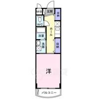 プラシードの間取り