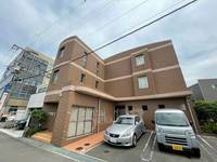 プラシードの外観