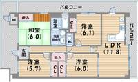 白鷹夙川マンションの間取り