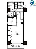愛知県名古屋市東区葵1丁目(マンション)の賃貸物件の間取り