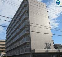 愛知県名古屋市港区十一屋2丁目(マンション)の賃貸物件の外観