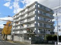 ホワイトコーポ大谷502の外観