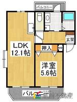 物件の間取り画像