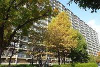 大阪府大阪市都島区都島南通2丁目(マンション)の賃貸物件4fの外観