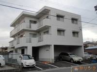 ドルフ本地の外観