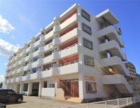 フレニール45V4の外観