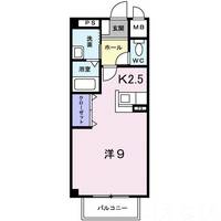 岡山県岡山市北区田中(アパート)の賃貸物件202の間取り