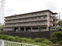 静岡県三島市壱町田(マンション)の賃貸物件202の外観