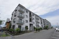 静岡県三島市梅名(マンション)の賃貸物件307の外観