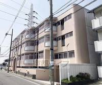 京都府京都市伏見区向島津田町の賃貸マンションの外観