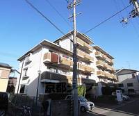 エス・テラス桂の外観