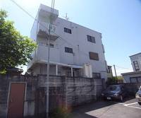 レブロンⅢ202の外観