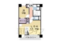 京都府京都市南区吉祥院嶋高町の賃貸マンションの間取り