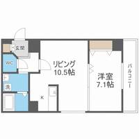 北海道札幌市北区北十条西3丁目(マンション)の賃貸物件905の間取り