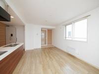 北海道札幌市東区北九条東1丁目(マンション)の賃貸物件403の内装