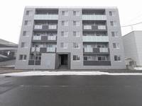 北海道札幌市白石区平和通2丁目北(マンション)の賃貸物件210の外観