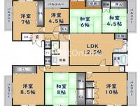 大阪府東大阪市大蓮北1丁目(マンション)の賃貸物件301の間取り