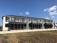 カンパニュラの外観