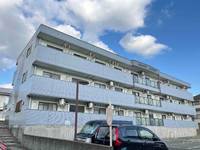 福岡県古賀市千鳥6丁目(マンション)の賃貸物件105の外観