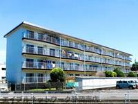 サンハイツ岡村202の外観