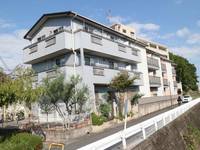奈良県奈良市富雄元町4丁目(アパート)の賃貸物件の外観